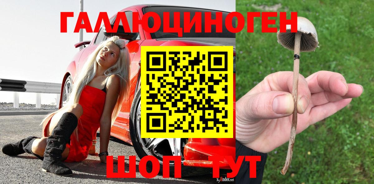 закладки  Вход с VPN  Ивантеевка  Псилоцибиновые грибы мухоморы  Псилоцибиновые грибы MAGIC MUSHROOMS 